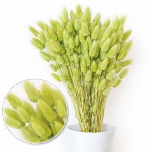 Flori uscate decorative Lagurus FISTIC 55 cm